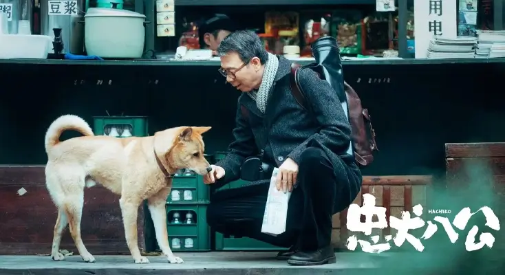 在国外用趣头条很卡怎么办示例